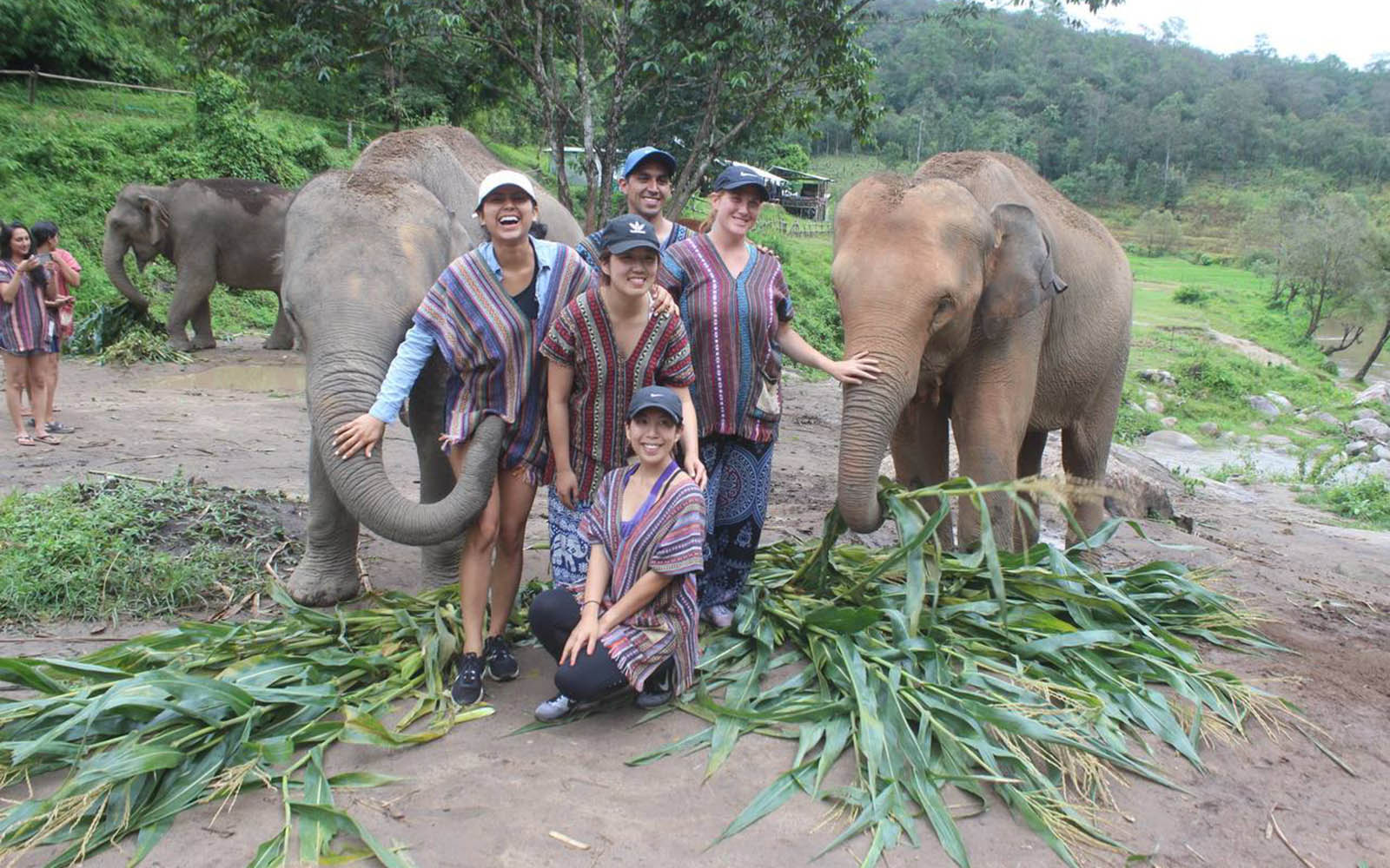 Full day at Elephant Jungle Sanctuary