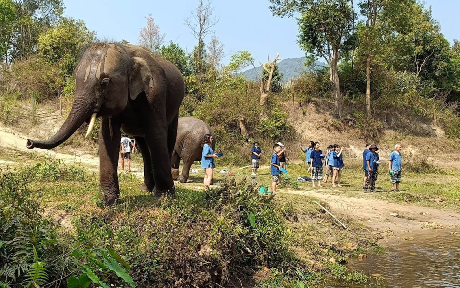 Elephant Sanctuary & Doi Inthanon trekking