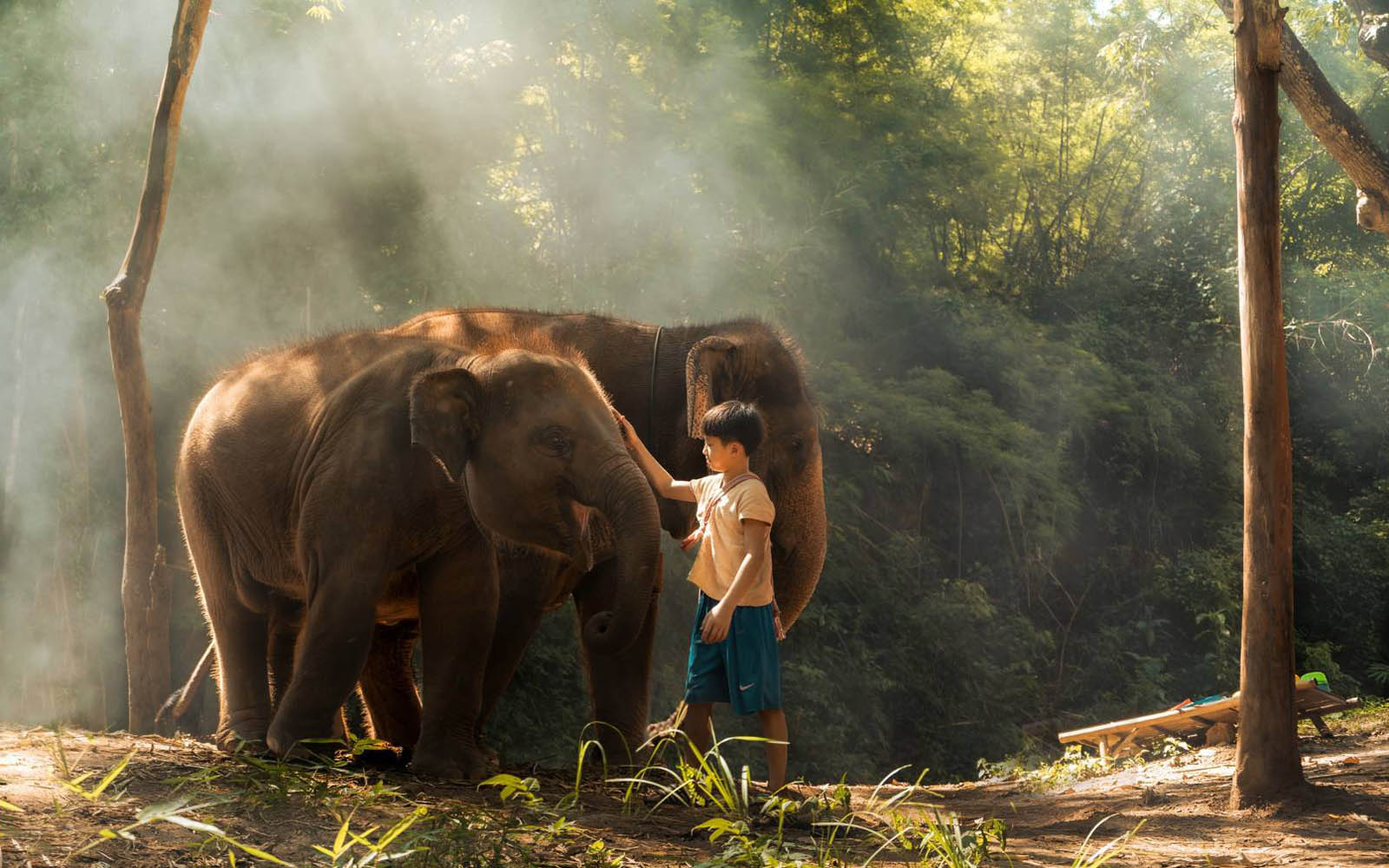 KERCHOR ELEPHANT ECO PARK