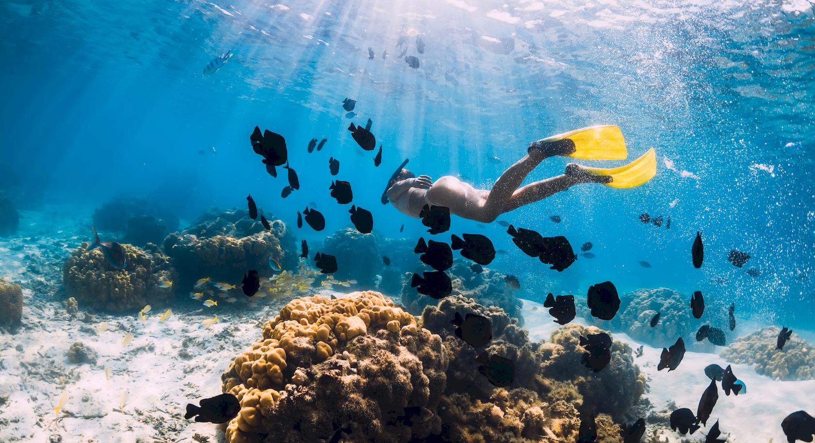 1 day Similan Islands from Khao Lak