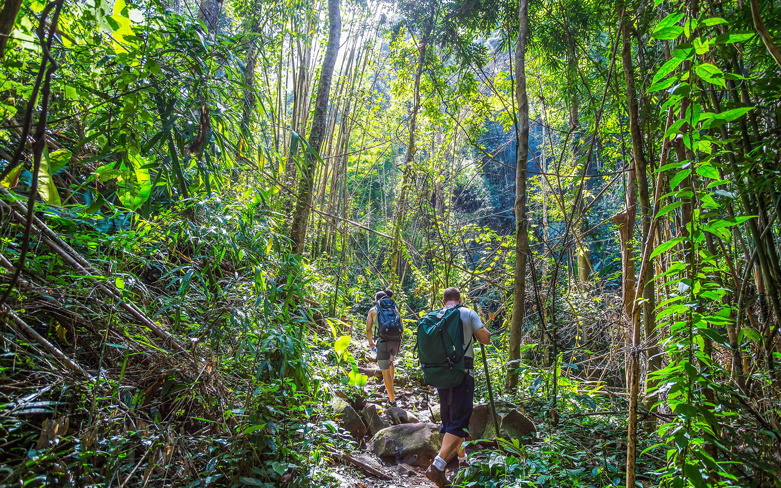 1 day trekking Mae Sapok
