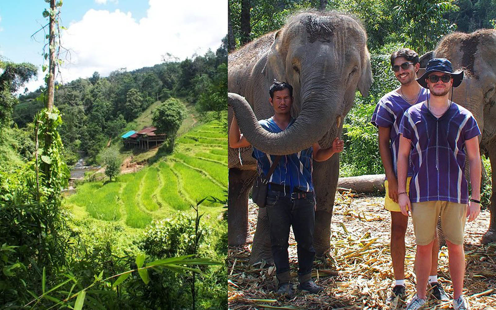 Private hiking and Elephant Day
