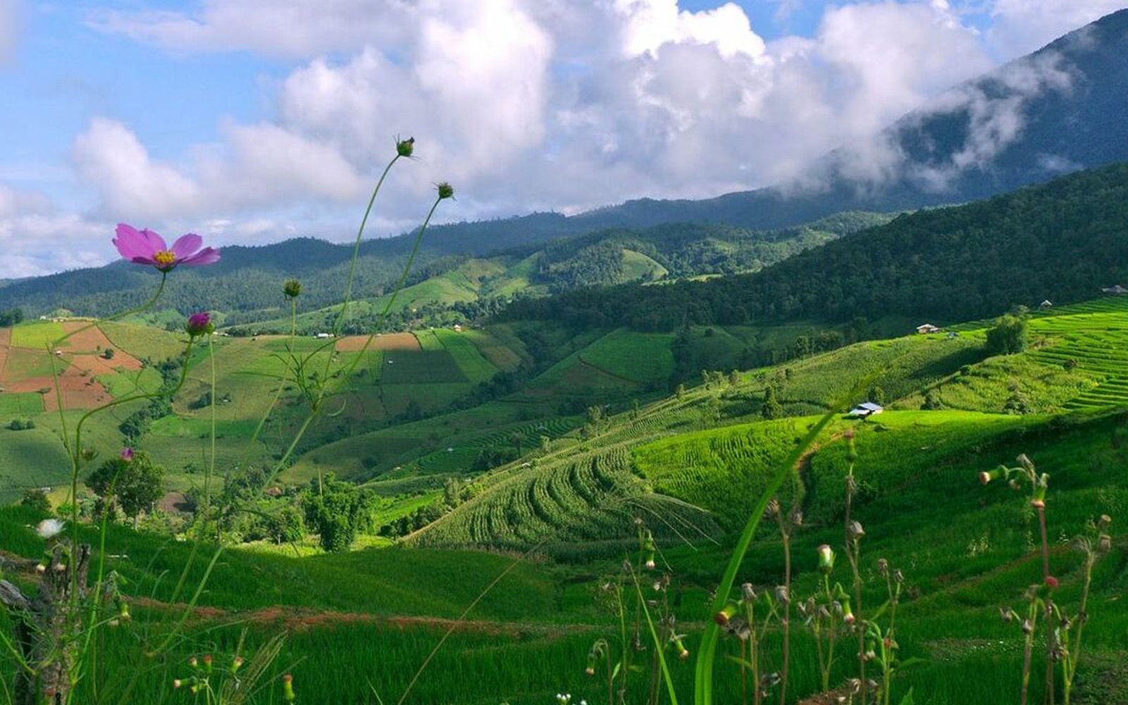 3 Days 2 Nights Karen eco-trekking, Doi Inthanon & Elephants Sanctuary