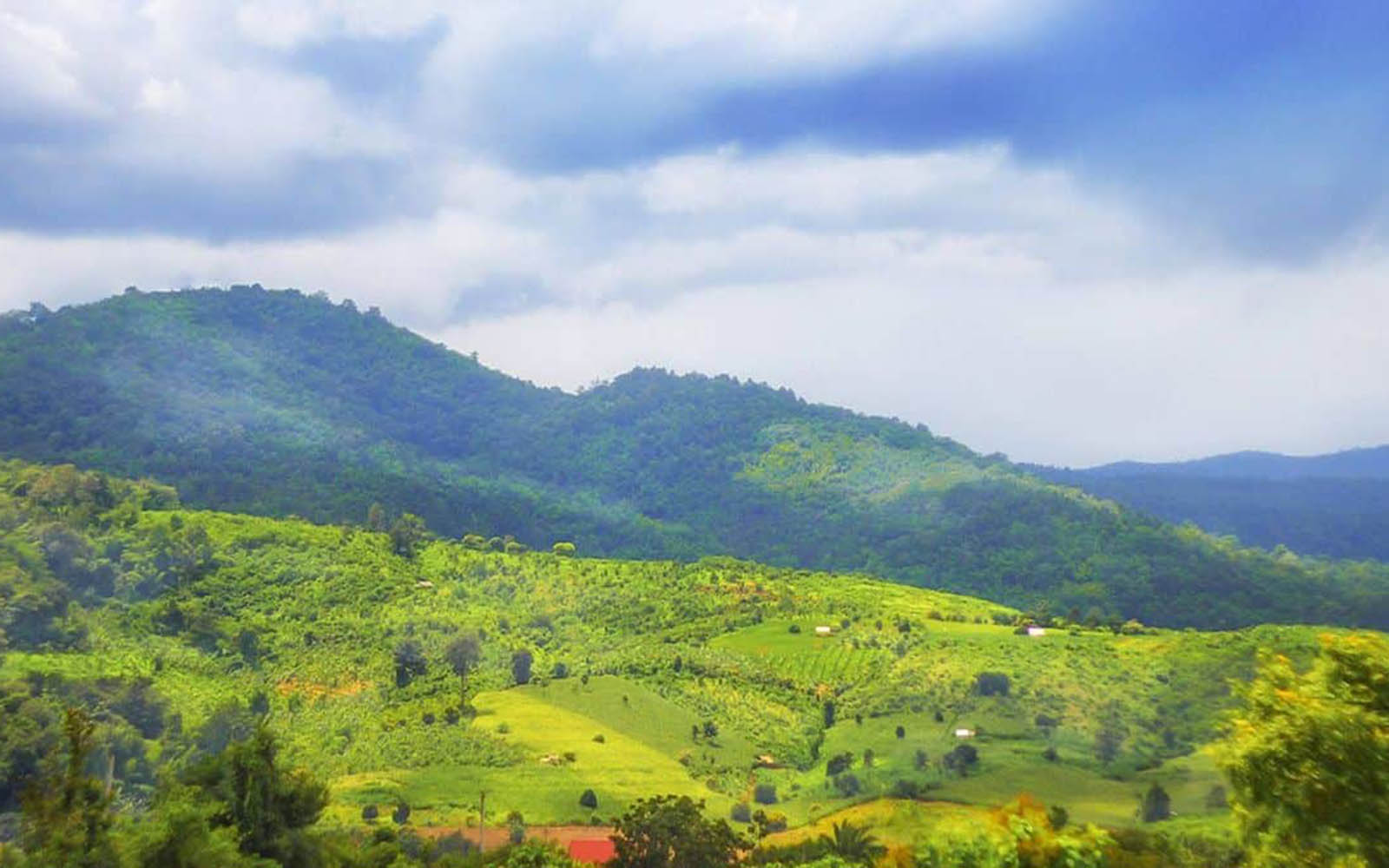 3 Days 2 Nights : Karen eco-trekking 2 days & 1 day visit Doi-Inthanon national park